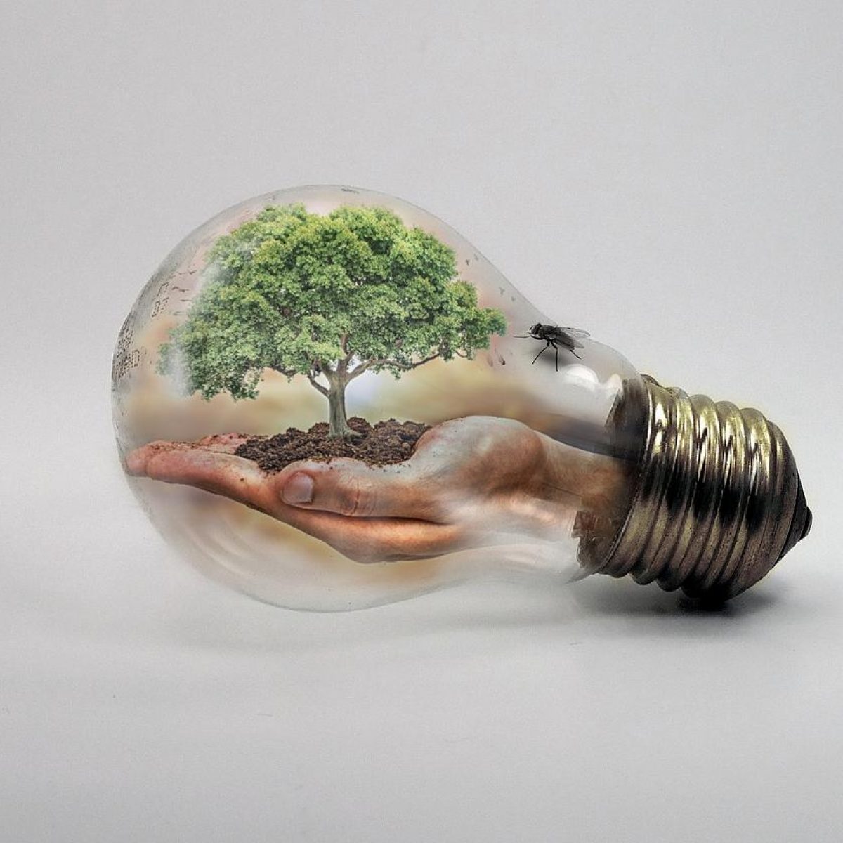 Climate change light bulb