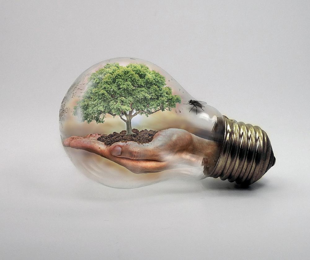 Climate change light bulb