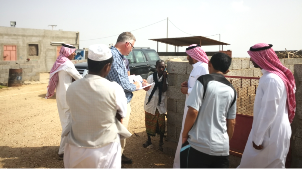 Saudi Arabia - Livestock Farming