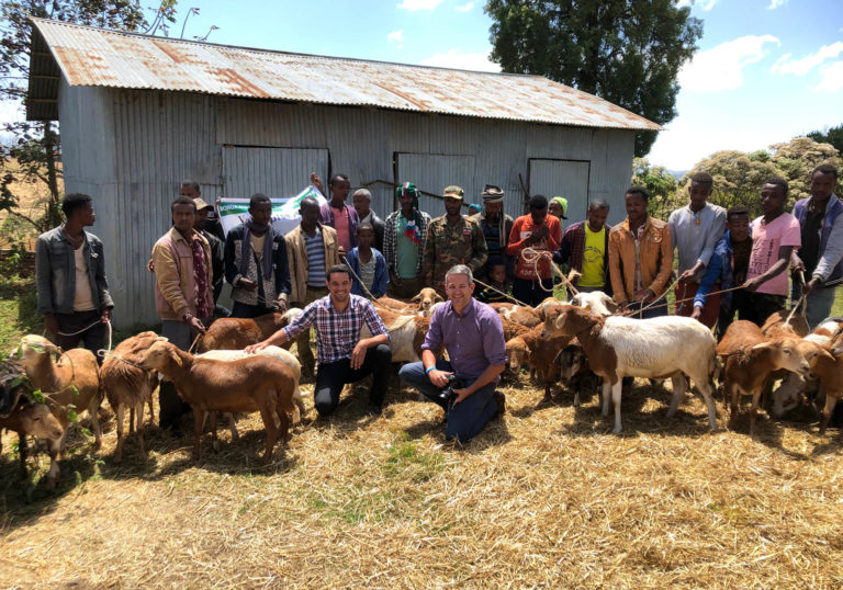 AbacusBio brings AniCloud breeding software into Ethiopia & Tanzania