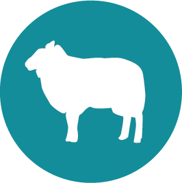 farm-icon-aqua
