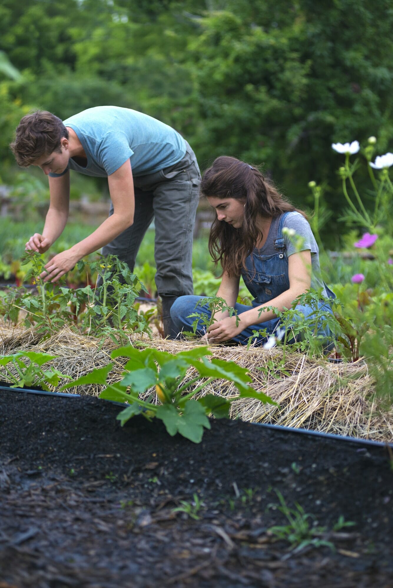 Group working in a  field