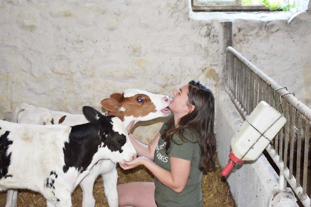 Dr Caeli Richardson on farm in Canada checking in on the newest additions to the dairy herd
