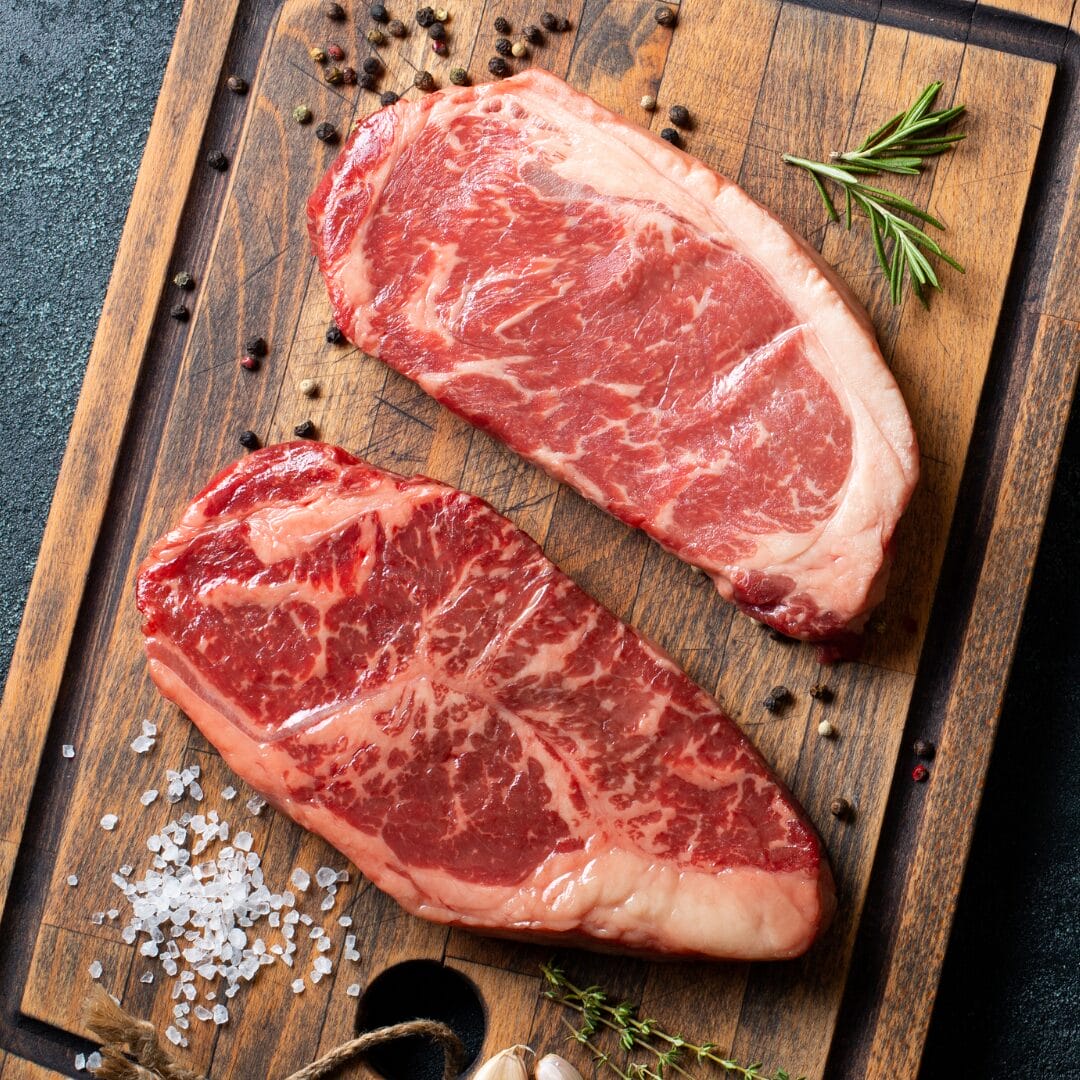 American Angus American Angus