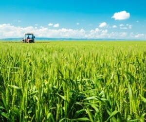 World’s first sustainability index for plants launched