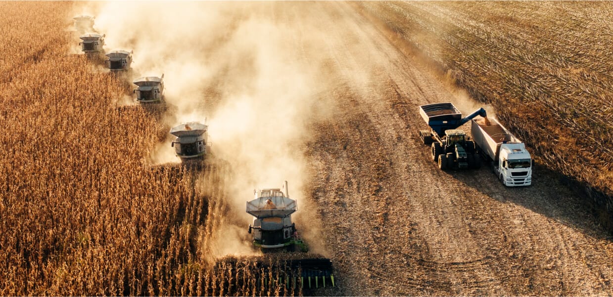 Agribusiness