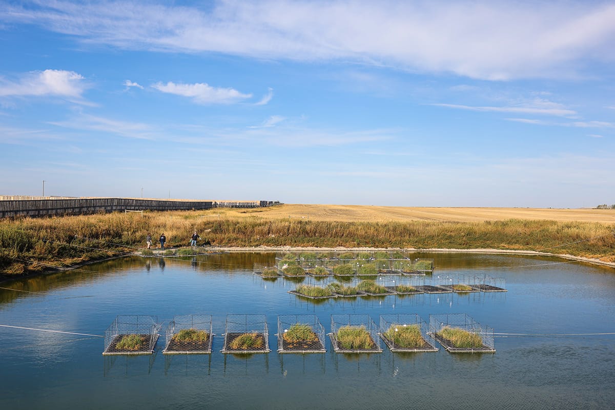 Floating Islands small (1)