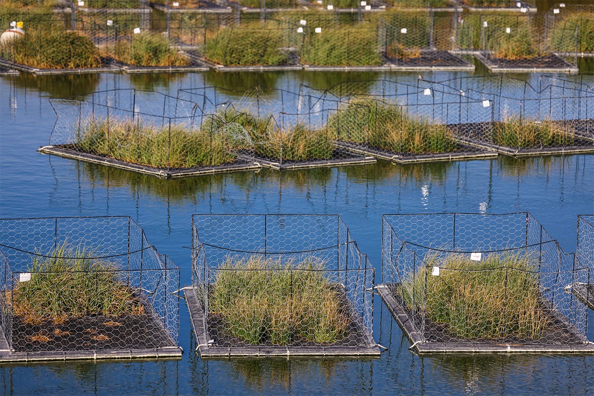 Floating Islands small