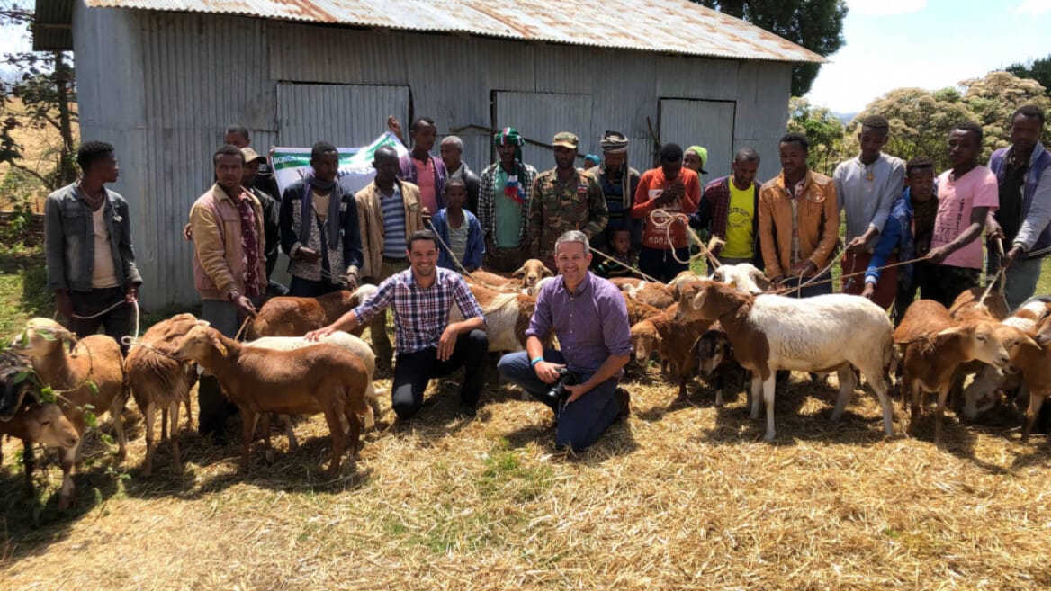 Community Based Breeding Programmes in Africa – AbacusBio