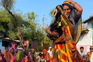 Managing genetics for the greater good of agriculture and communities