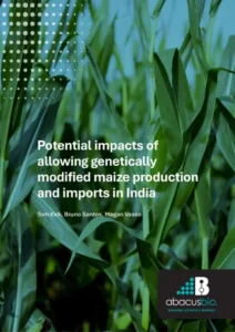 Potential impacts of allowing genetically modified maize production and imports in India