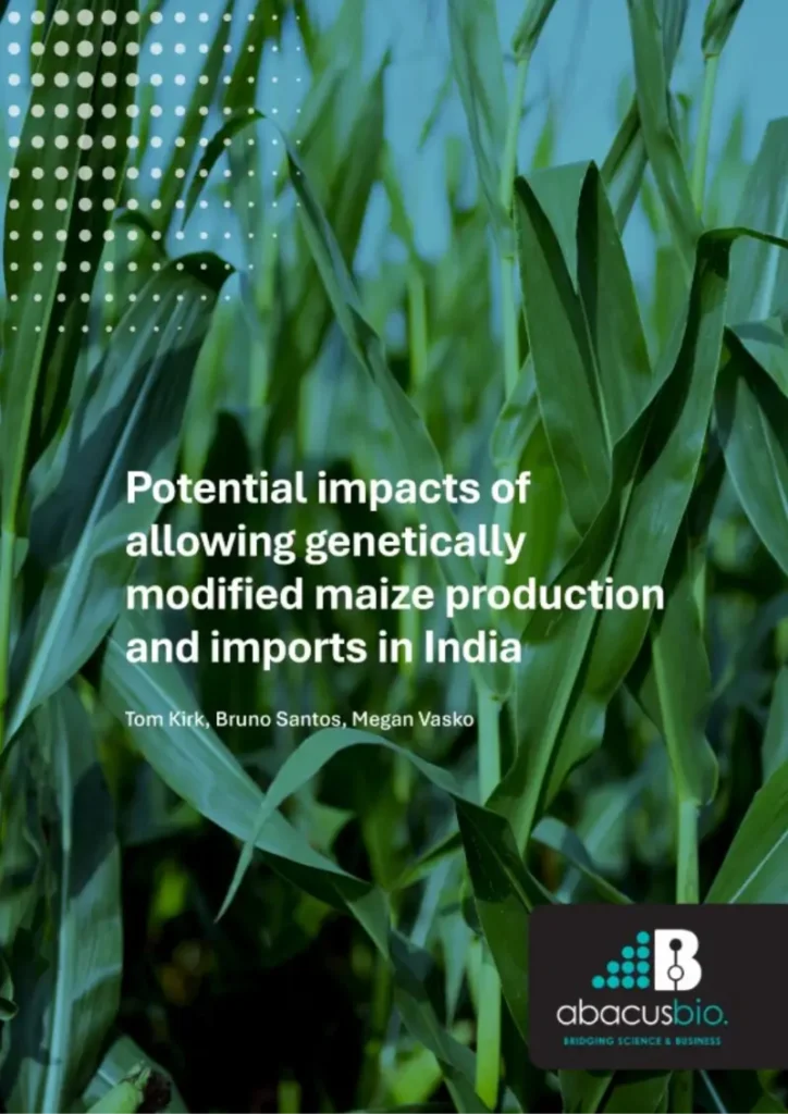 India maize report cover