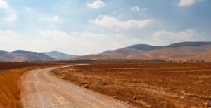 Food security in a conflicted world