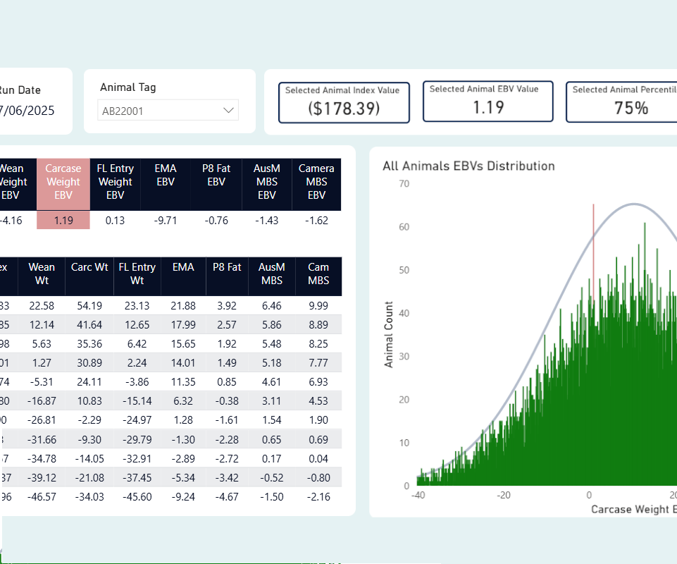 DTreo analytics reporting
