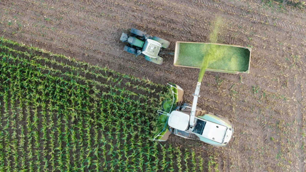 Aerial view of a forage harvester filling a trailer beside a maize crop