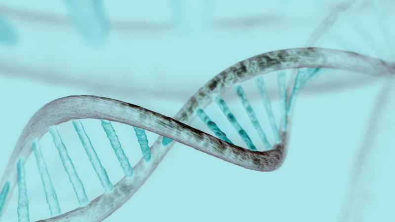 Genetic Improvement